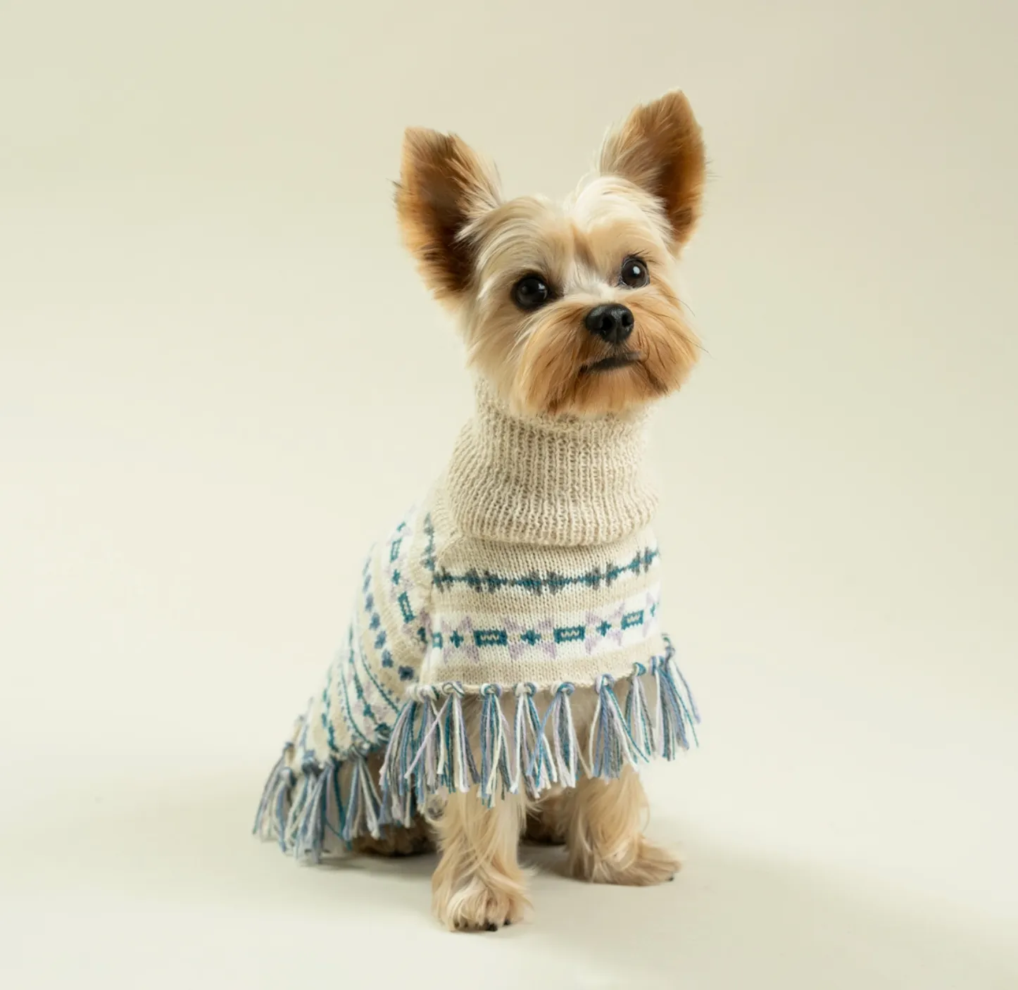 Serendipity Dog Poncho